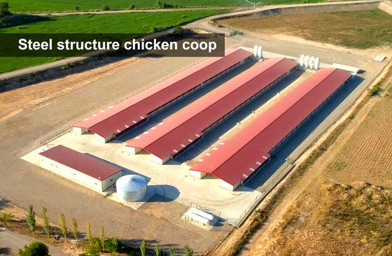 Agricultura siderúrgica Granjas prefabricadas de aves de corral Construcción con jaulas de pollo y cobertizos metálicos