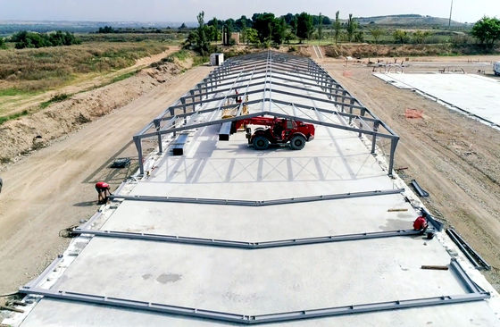 Agricultura siderúrgica Granjas prefabricadas de aves de corral Construcción con jaulas de pollo y cobertizos metálicos