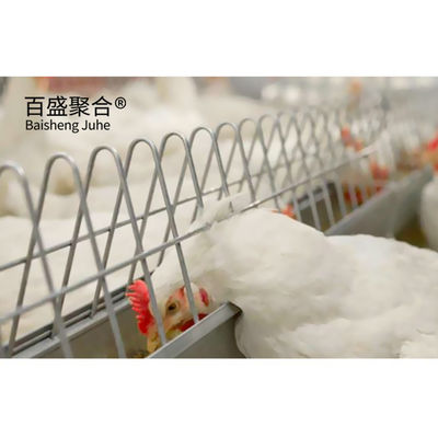 Agricultura siderúrgica Granjas prefabricadas de aves de corral Construcción con jaulas de pollo y cobertizos metálicos