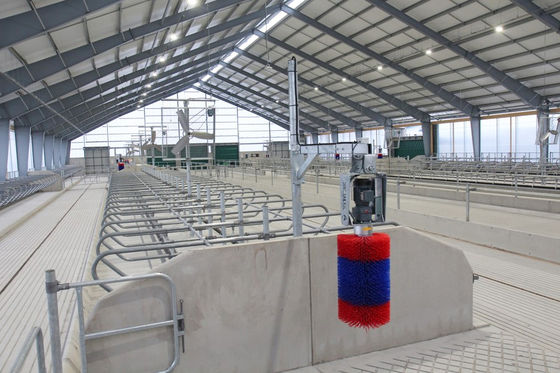 Servicio de corte Construcción prefabricada de estructuras de acero para construcción estable de caballos
