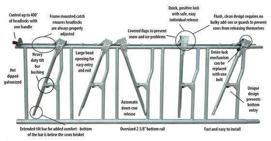 Servicio de corte Construcción prefabricada de estructuras de acero para construcción estable de caballos