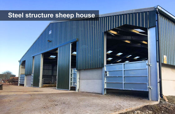 Construcción rápida de cobertizo de cerdo con estructura de acero y ventana de aleación de aluminio