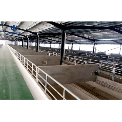 Mejora de la productividad Estructura prefabricada de acero Granja de vacas lecheras