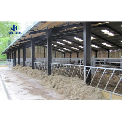 Áreas de aplicación Planta de trabajo Agricultura Ovejas Granja Granja con estructura de acero