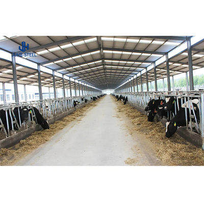 Granja moderna de cabras con estructura prefabricada de acero Granja de vacas con servicio de soldadura