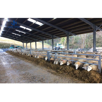 Equipo de granjas avícolas de bajo mantenimiento para la alimentación de pollos de engorde en estructura de acero
