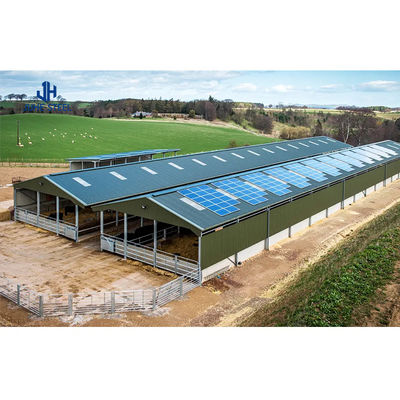 Equipo de granjas avícolas de bajo mantenimiento para la alimentación de pollos de engorde en estructura de acero