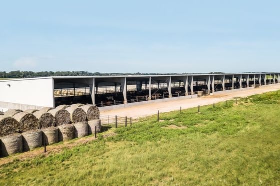 Agricultura y ganadería de acero Construcción de 80 kg de pajares redondos con servicio de corte