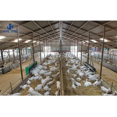 Q235/Q355B Estructura de acero de grado Granero de vacas para la gestión del ganado