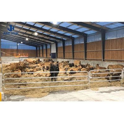 Q235/Q355B Estructura de acero de grado Granero de vacas para la gestión del ganado