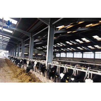 Q235/Q355B Estructura de acero de grado Granero de vacas para la gestión del ganado