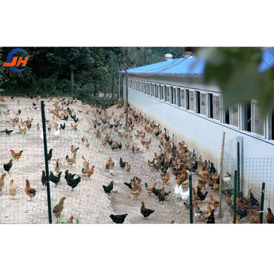 Q235/Q345 Construcción de granjas de aves de corral de acero bajo en carbono para vacas cabras caballos arena ganado ovino
