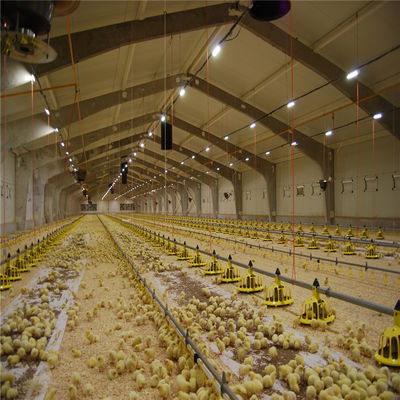 Q235/Q345 Construcción de granjas de aves de corral de acero bajo en carbono para vacas cabras caballos arena ganado ovino