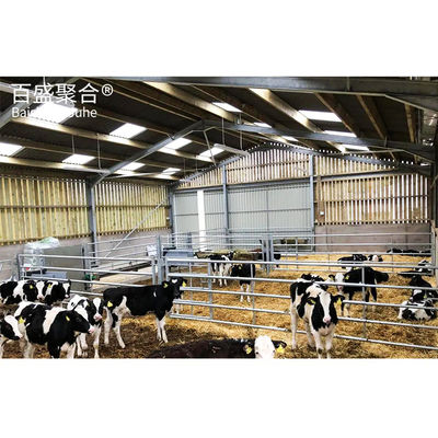 Bajo carbono Q235/Q345 Caballo de metal cobertizo prefabricado caballo de metal granero